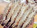  Các loại thuỷ đặc sản cho hiệu quả kinh tế cao?