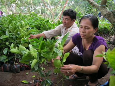  Chợ Lách phấn đấu có hơn 14 ngàn  nông dân SXKDG