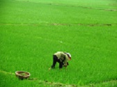 Tin tức Quy hoạch sử dụng đất đến năm 2020 của Hà Nội và Bắc Ninh 