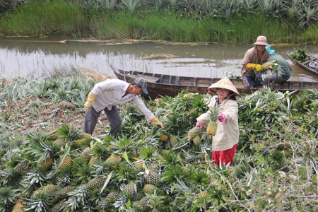 1m2 đất chỉ bằng... bát phở