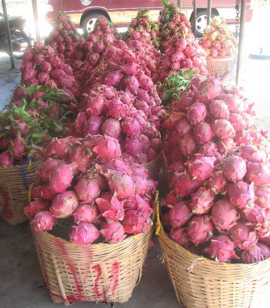 Ách tắc ở Tân Thanh, xuất khẩu thanh long thiệt hại nặng