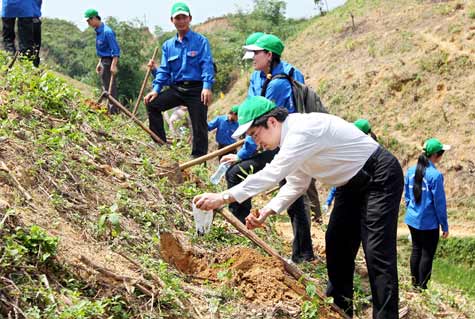 Bắc Kạn: Chợ Đồn đẩy nhanh tiến độ trồng rừng năm 2013