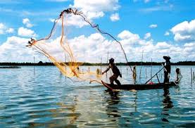 Bảo hiểm thủy sản tiến thoái lưỡng nan