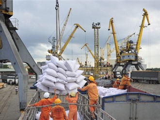 Bát nháo xuất khẩu gạo thơm