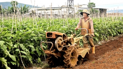 Bí quyết làm giàu của nông dân Ðà Lạt