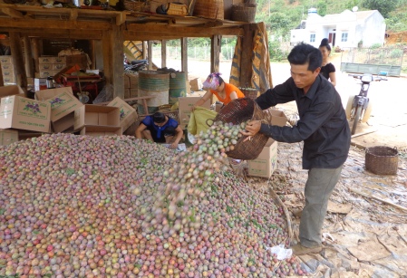 Bí quyết thu hút nông dân ở Sơn La