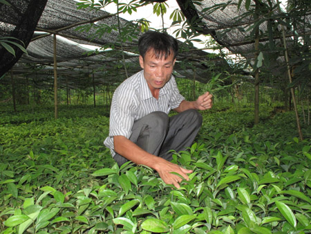 Bỏ kinh doanh, mở trang trại thu tiền tỷ