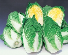 CẢI BẮP