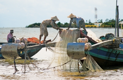 Cà Mau: Chuyển đổi nghề cho cư dân ven biển: Bài toán chưa có giải đáp