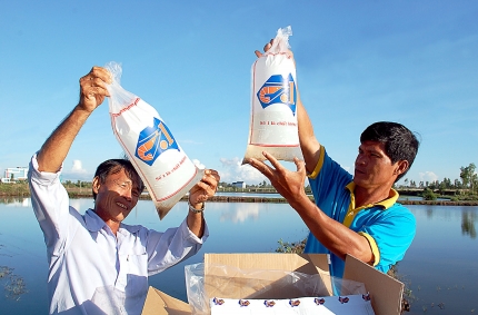 Cà Mau: Hai năm, chỉ nhận 2 mẫu tôm xét nghiệm