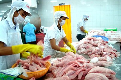Cá tra đi Mỹ tạm thoát mức thuế kỳ POR8