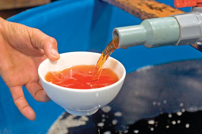 Chao đảo thương hiệu nước mắm Phú Quốc