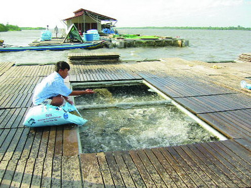 Châu Phi- miền đất hứa cho thủy sản VN