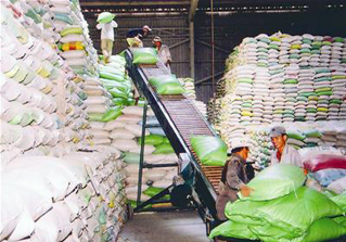 Chuẩn bị tổ chức lại đầu mối xuất khẩu gạo