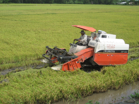 Cơ giới hóa vào sản xuất nông nghiệp của Hà Nội còn thấp