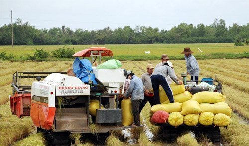 Để trí thức 'xắn tay áo' làm nông