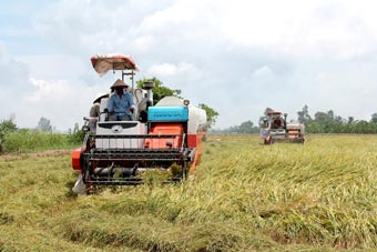 Doanh nghiệp bán máy gặt đập liên hợp bị nông dân kiện ra tòa