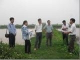 Dự án “Phát triển nuôi cá rô phi đơn tính đực hướng quy trình GAP” khảo sát chọn hộ thực hiện tại Nam Định