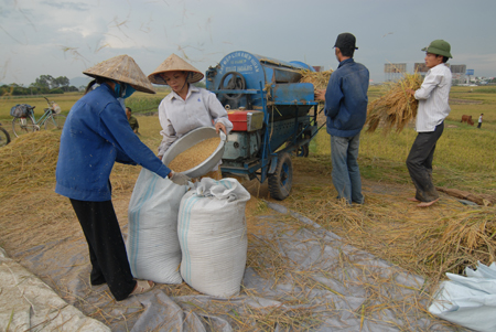 Đừng bắt nông dân “bám” mãi cây lúa!