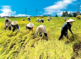 GDP ngành nông nghiệp xu hướng giảm