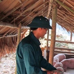 Giặp “ Nhà nông trẻ xuất sắc” là phó bí thư chi Đoàn