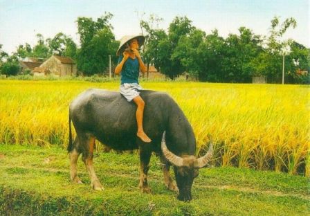 Giữ gìn, phát huy bản sắc văn hoá "Làng" trong cuộc sống hiện đại