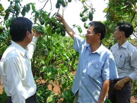 Giúp nhau dùng vốn hiệu quả