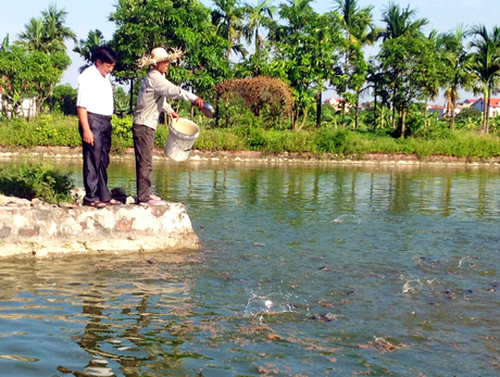 Hà Nội: Hỗ trợ vốn để nông dân sản xuất, kinh doanh