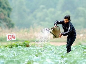 Hà Nội liên kết trong cung cấp thực phẩm an toàn