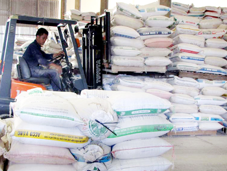 Heo, gà lỗ nặng, giá thức ăn vẫn cao