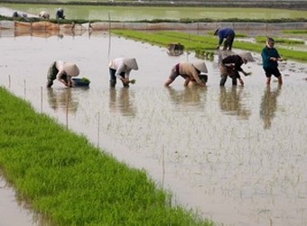 Hoàn thành 11 xã điểm vào năm 2014