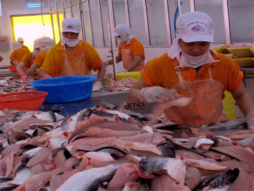 Hội nhập thị trường cùng ASC