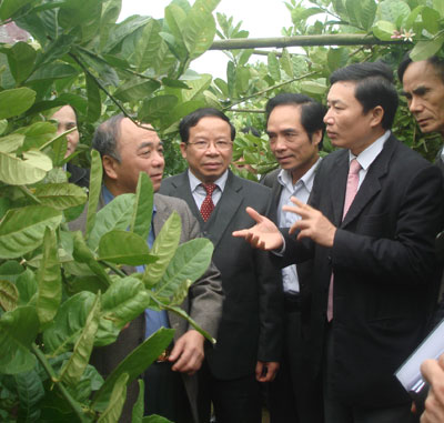 Hội nông dân Nam Định: Nhiều hình thức hỗ trợ nông dân sản xuất