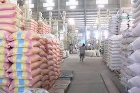 Hơn 7.600 tỷ đồng cho vay mua tạm trữ lúa gạo