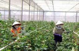 Hợp tác công - tư là phương tiện thu hút đầu tư hiệu quả vào nông nghiệp