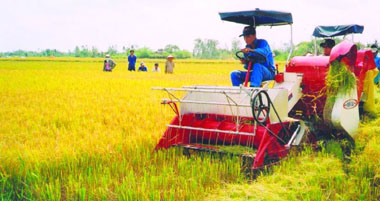 Khuyến công: Giải pháp cơ bản CNH - HĐH nông nghiệp nông thôn