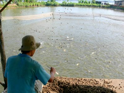 Làm giàu bằng mô hình VACR