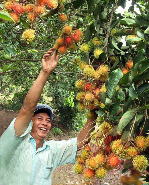 “Làng tỷ phú”