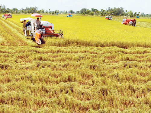 Lập Tổng hội Nông nghiệp và Phát triển Nông thôn