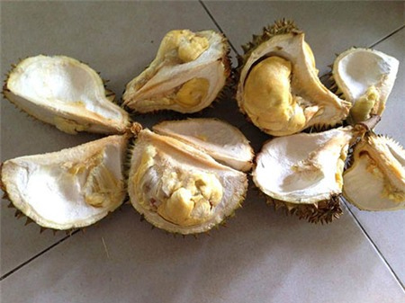 Lo ngại dịch bệnh gia súc, gia cầm bùng phát
