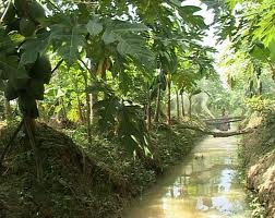 MÔ HÌNH VAC CÙNG CHẾ PHẨM SINH HỌC VƯỜN SINH THÁI