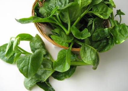Mồng tơi chữa táo bón