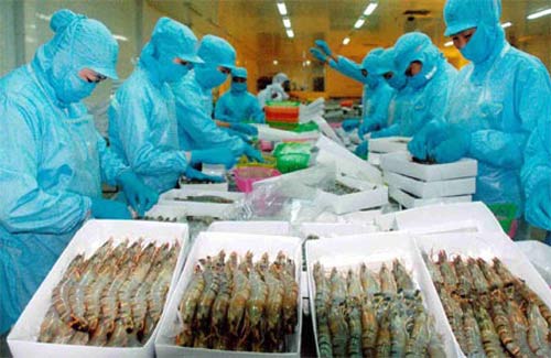 Náo loạn thị trường Tôm