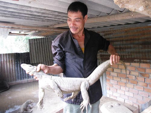 Người ưa thích những vật nuôi lạ