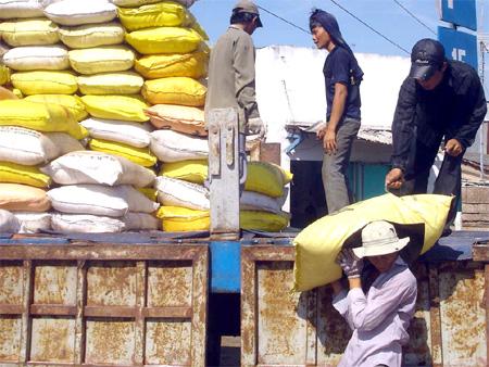 Nhập khẩu phân bón tăng mạnh