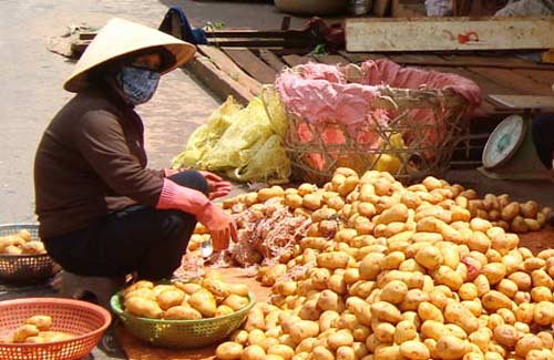 Những hình ảnh giúp dễ dàng phân biệt thực phẩm, rau củ quả TQ