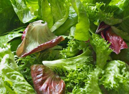 Những tác dụng của rau diếp xoăn