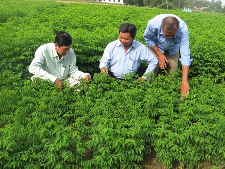 Nông dân TPHCM học kinh nghiệm ở nước ngoài