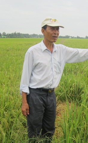 Nông dân giỏi làm lúa giống đặc sản
