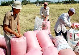 Nông dân sẽ được hỗ trợ tạm trữ lúa gạo
